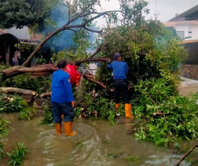 
 Petugas BPBD Kota Tangerang sigap merespon banjir dan pohon tumbang. foto:ist
