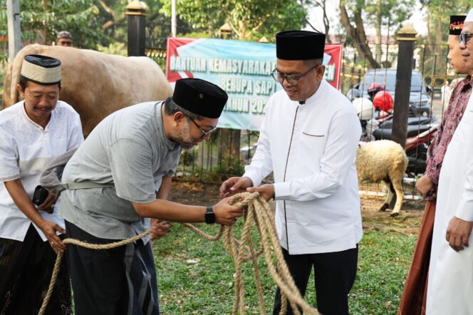 
 Gubernur Banten Andra Soni usai menyaksikan pemotongan hewan kurban di Halaman Gedung Negara Provinsi Banten, Jl Brigjen KH. Syam'un No. 5, Kota Serang, Jumat (6/6/2025). Foto: ist