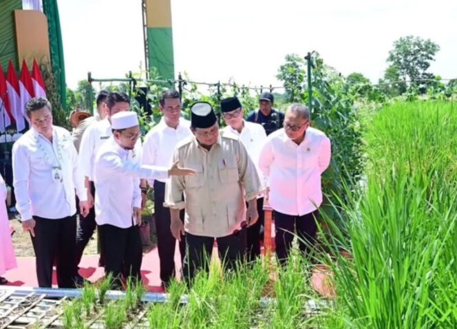 
 Presiden Prabowo Subianto Didampingi Menko Pangan Zulkifli Hasan dan Penggagas GERINA saat peluncuran program Gerakan Indonesia Menanam (Gerina). Foto: Setkab