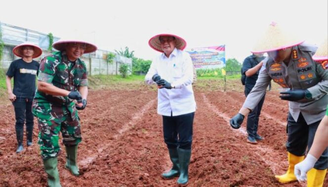 
 Bupati Tangerang, Moch Maesyal Rasyid bersama Unsur Forkopimda melaksanakan penanaman bibit jagung hibrida serentak di Desa Ranca Iyuh, Kecamatan Panongan. Foto: ist
